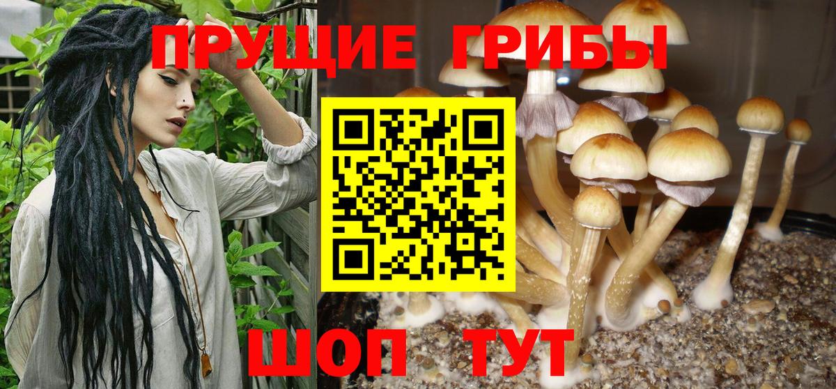 Псилоцибиновые грибы прущие грибы Шадринск