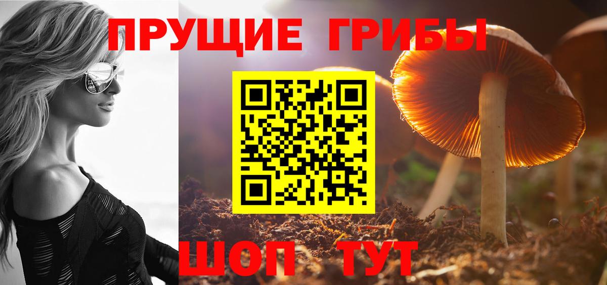 Шадринск  Псилоцибиновые грибы мицелий  Вход с VPN  Псилоцибиновые грибы GOLDEN TEACHER 